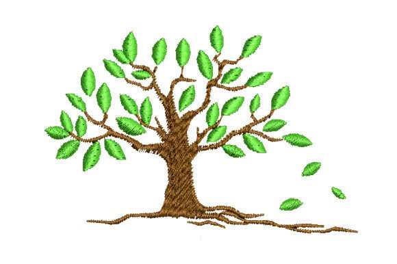 Fallen Leaves on Tree Roots: A Designer’s Review